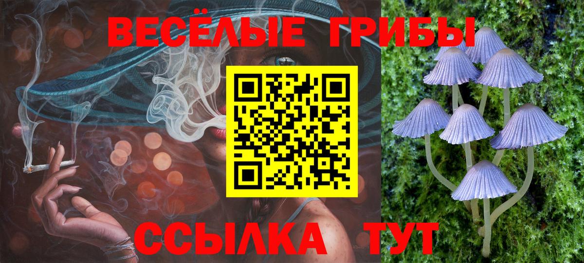 Галлюциногенные грибы Cubensis  закладка  Прокопьевск  Вход с VPN 