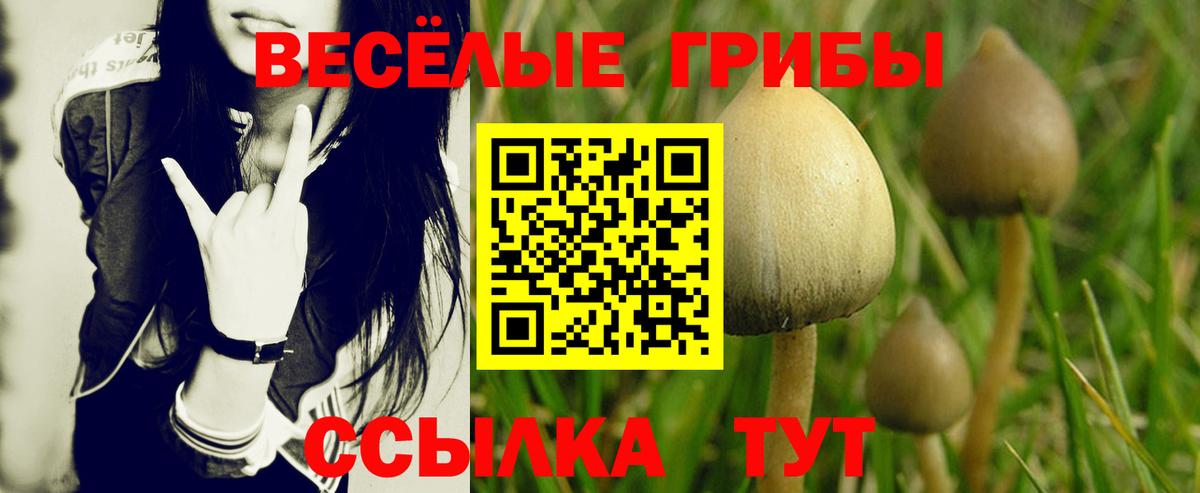 Псилоцибиновые грибы мухоморы Прокопьевск